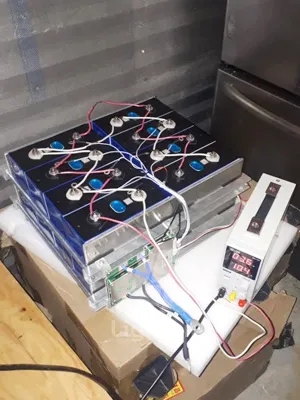 DIY Lifepo4 Prismatic Battery Cells Case Study_Dongguan Lightning New Energy Customer Cases
