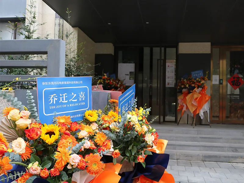 Grand Opening of Dongguan Lightning New Head Office