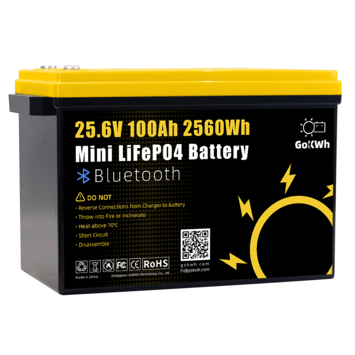 GoKWh 24V 100Ah Mini Bluetooth LiFePO4 Battery(1)