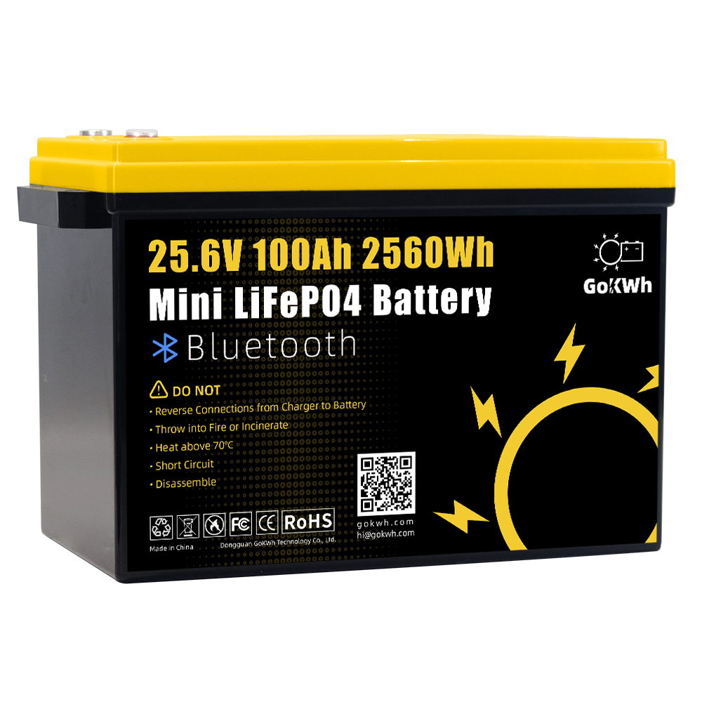 GoKWh 24V 100Ah Mini Bluetooth LiFePO4 Battery(1)
