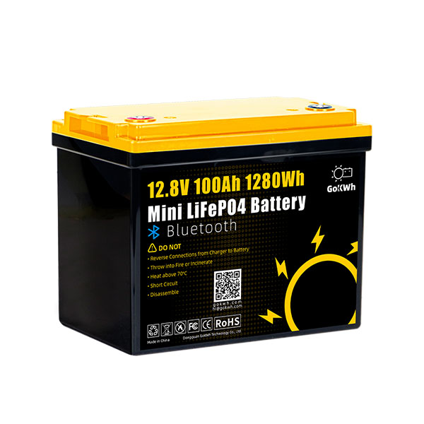 GoKWh 12V 100Ah Mini Bluetooth LiFePO4 Battery (1)
