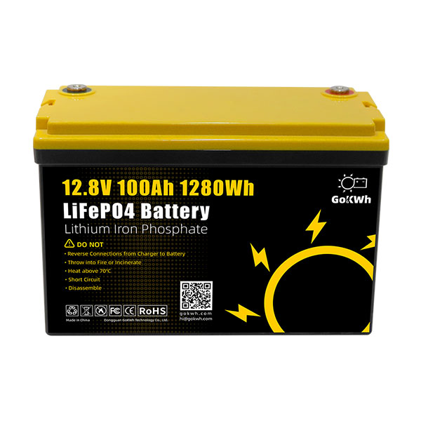 GoKWh 12V 100Ah Built-in BMS LiFePO4 Battery-Lightning (1)