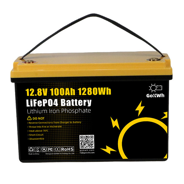 GoKWh 12V 100Ah Built-in BMS LiFePO4 Battery-Lightning (4)